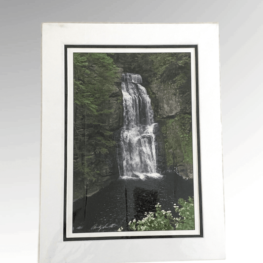 Bushkill Falls Photograph - Andy Smith