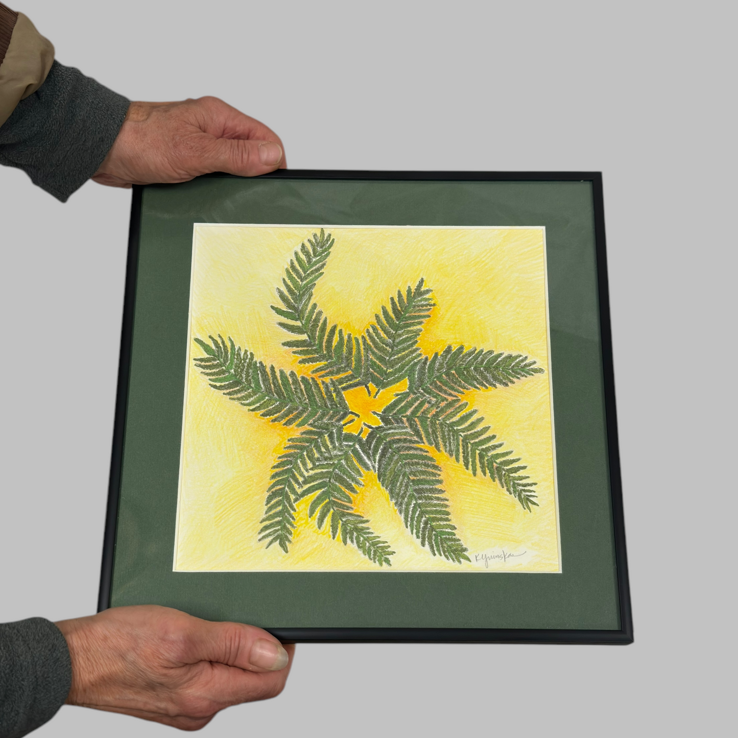 Fern Beauty Drawing shown for scale - Katherine Yvinskas