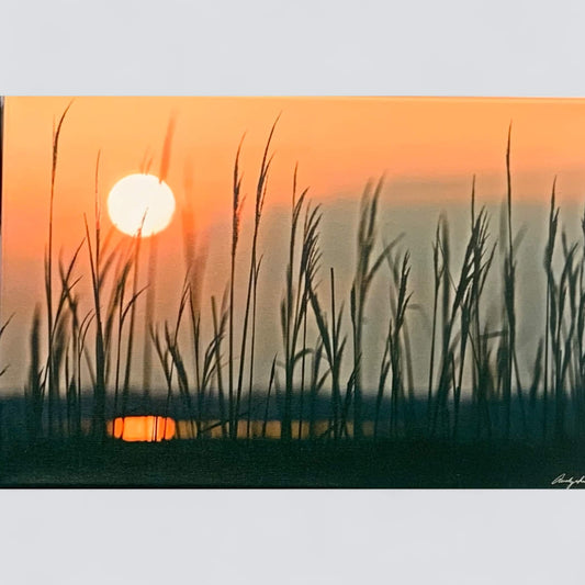 Sunset photograph by Andy Smith