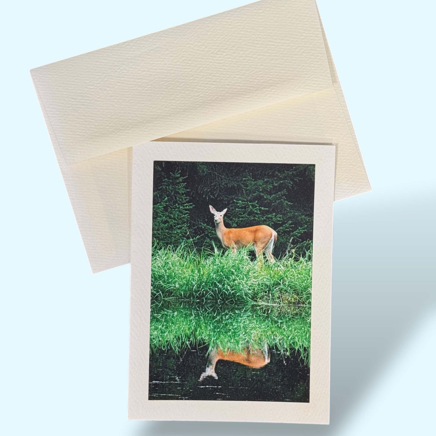 Deer - Reflection Greeting Card - Kathy Riss