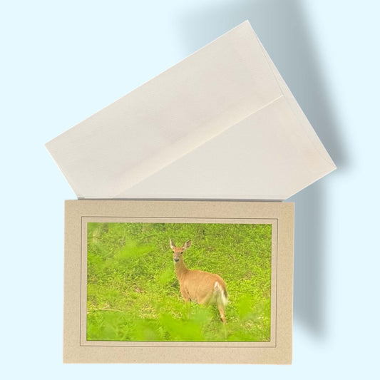 Deer A Parting Look Greeting Card - Kathy Riss