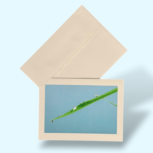 Raindrops on Leaf Greeting Card - Kathy Riss