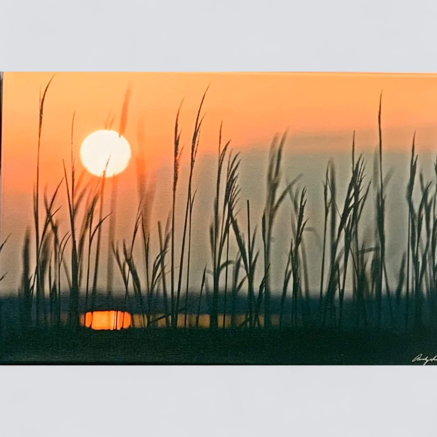 Sunset photograph by Andy Smith