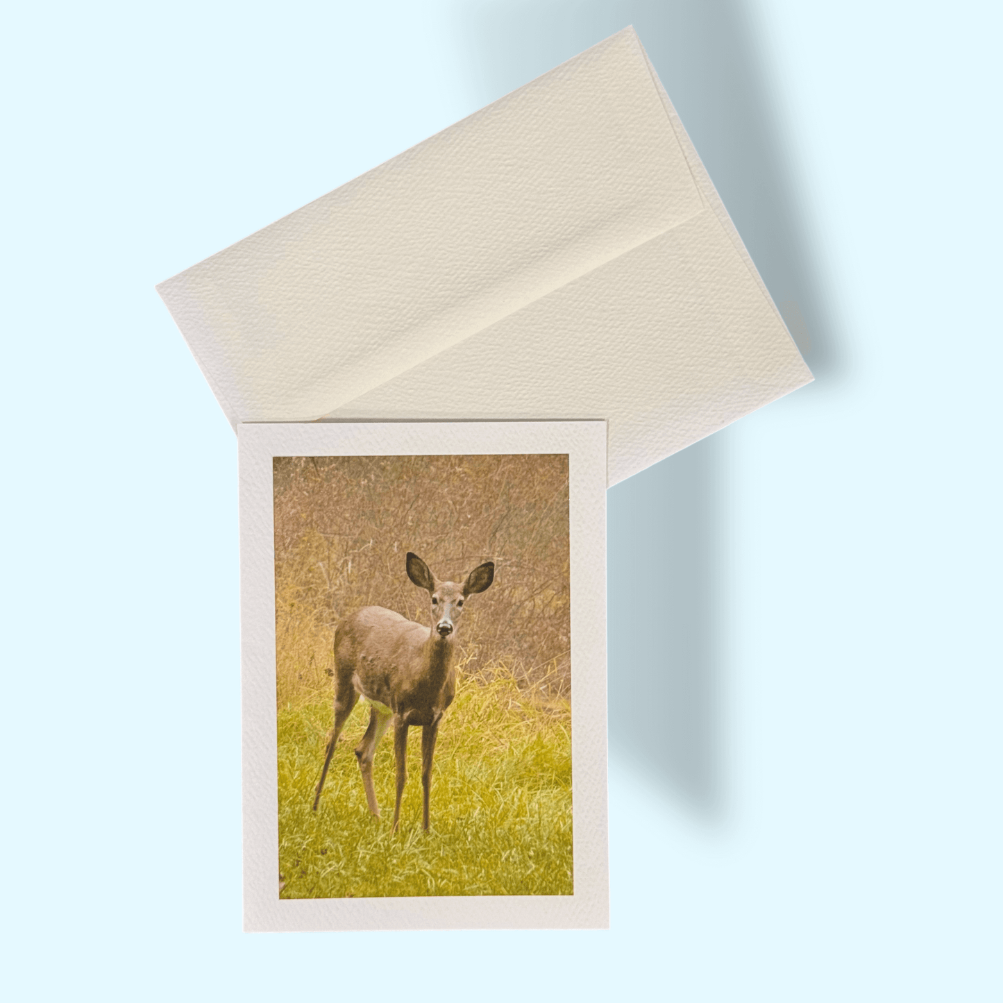 Young Deer Greeting Card - Kathy Riss